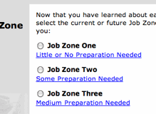 Example of Job Zone radio buttons